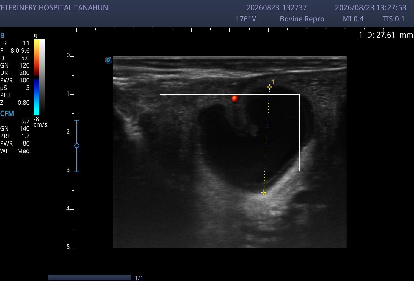 Slider Image: Early pregnancy Diagnosis in Cattle ( गाईमा सुरुवाती चरणको गर्भपरिक्षण)