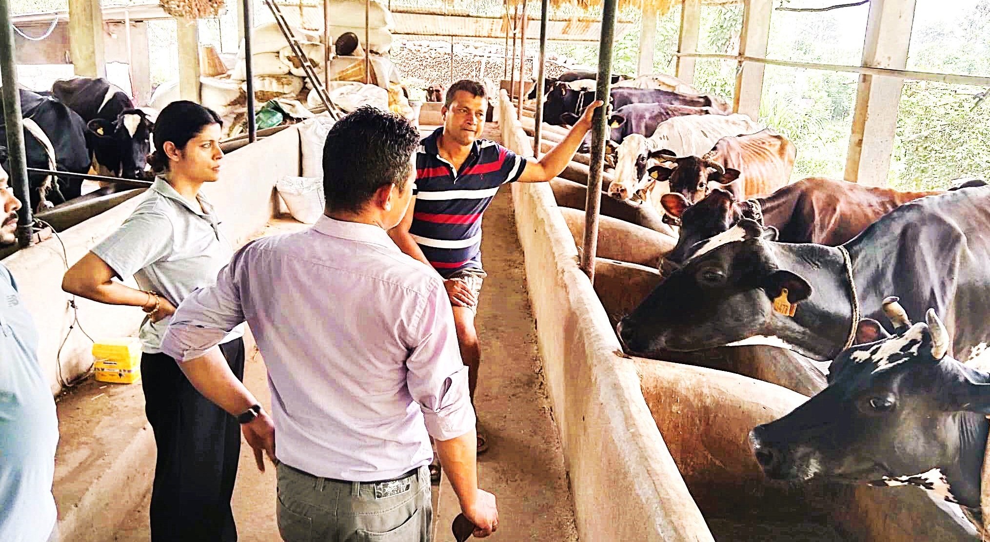 Slider Image: गाई फार्म अनुगमन तथा नियमन